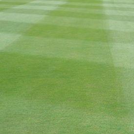 Reduction of overlap marks - bentgrass fairway