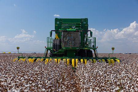 CS770 harvesting with SH12R Header