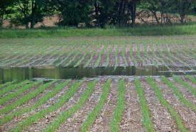 Keep water from forming a pond