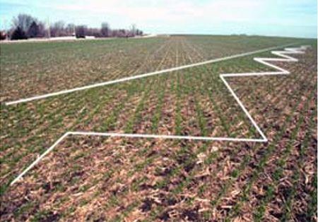 Example of seeded field with SectionCommand™ Pro
