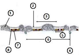 10.2-cm (4-in.) Perma-Loc spoon