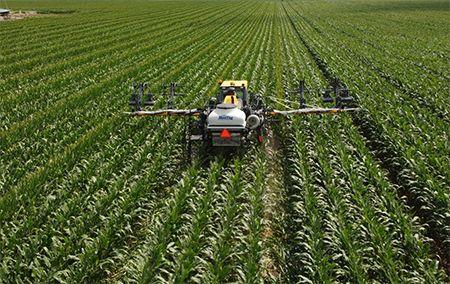 Montag cover crop system