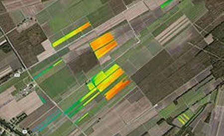 Sugar cane field yield map