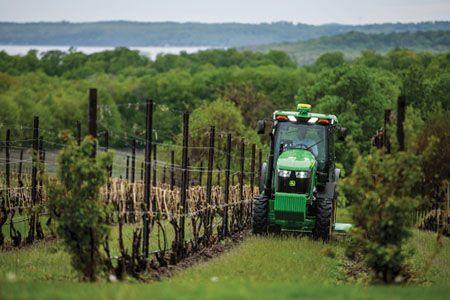 5EN mowing in vineyardt