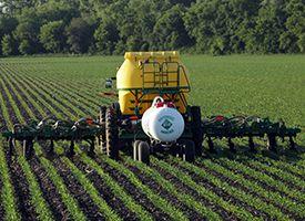 Minimal disturbance in corn
