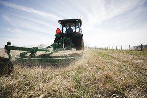 Mowing with MX7