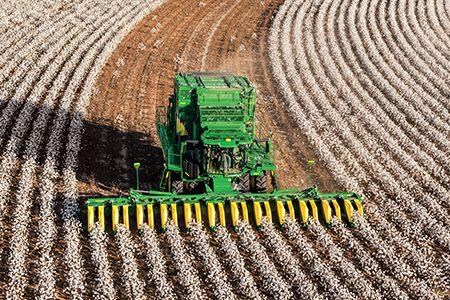 CS770 harvesting cotton by day