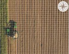 Surveying the field while harvesting