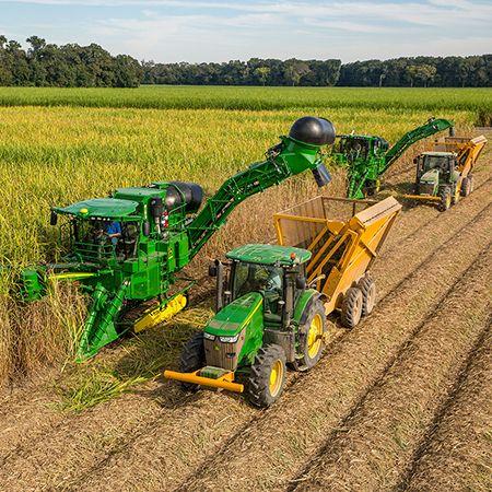 Multiple harvesters