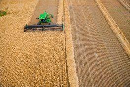 Double windrow using deck shift