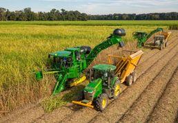 Multiple harvesters