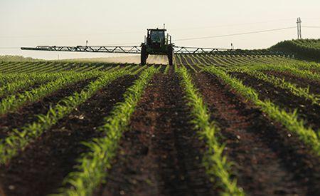 Use AutoPath to complete later passes in standing crop with confidence