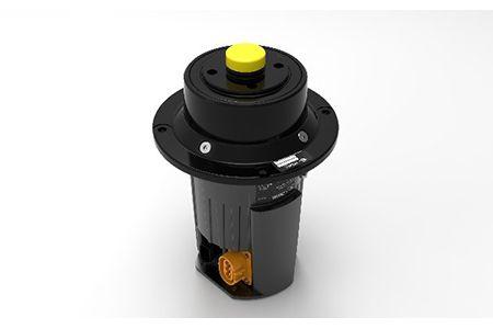 (Electric traction motor)