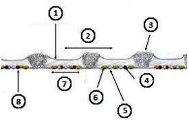 Seedbed profile - H500 and 30.5-cm (12-in.) Perma-Loc sweeps