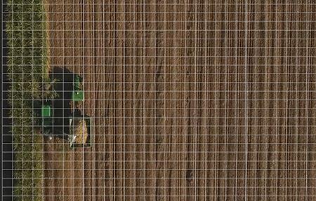 Surveying the field while harvesting
