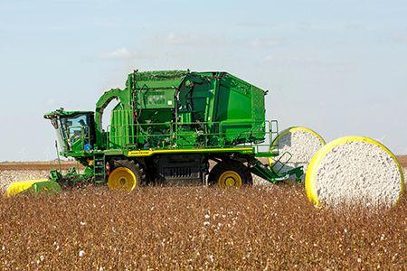 CS770 Cotton Picker harvesting cotton