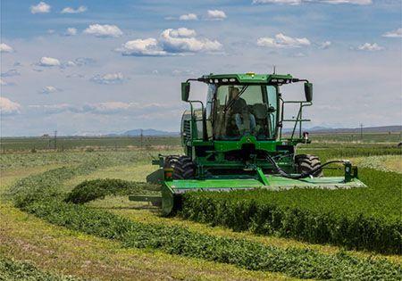 W260M Windrower with R500 Rotary Platform