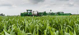 AutoTrac RowSense in late-season corn
