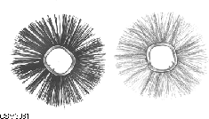 Polypropylene and steel wafers